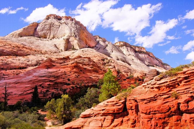 خرید و دانلود عکس Nature-Part-6 کد 37098 | پیک فاکس | Pic Fox