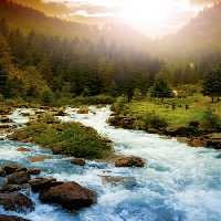 خرید و دانلود عکس Nature-Part-30 کد 36840 | پیک فاکس | Pic Fox