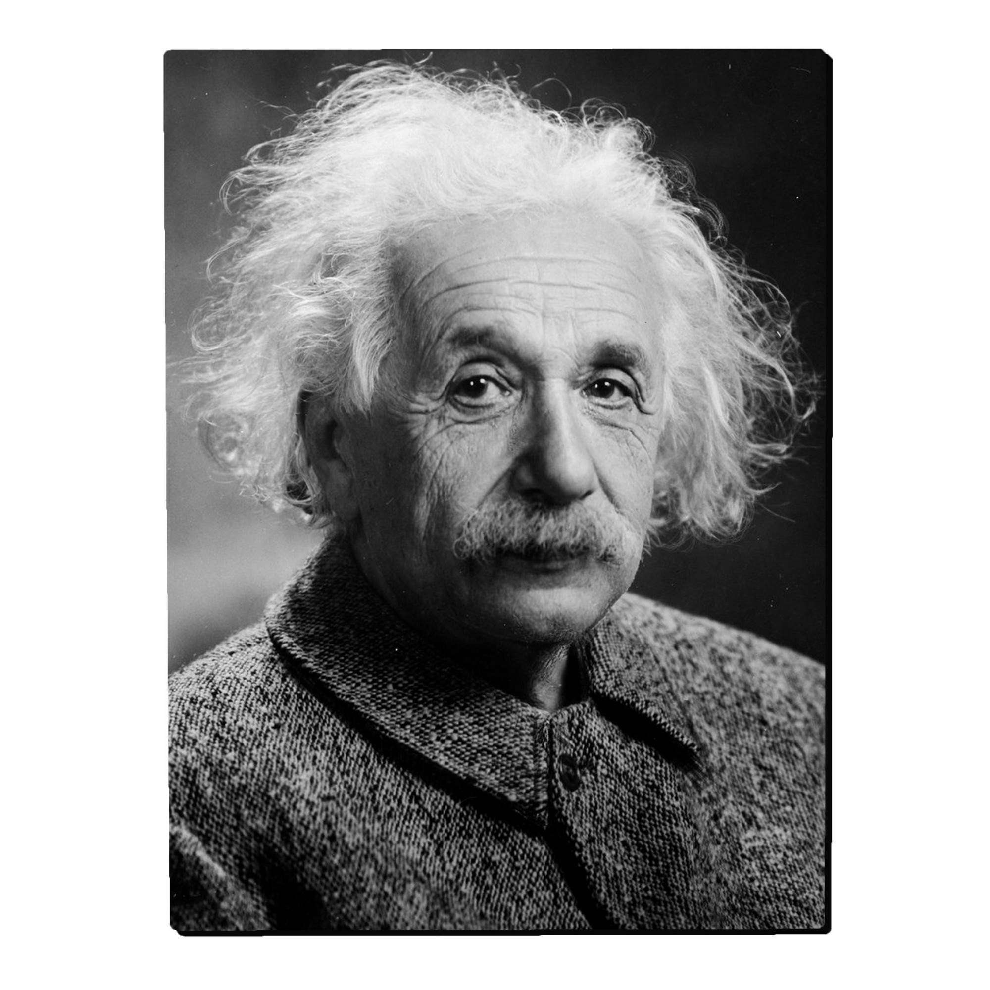 تابلو شاسی بکلیت طرح انیشتین مدل SH-14345