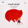 کتاب فیل قرمز گم شده اثر فریت اوچی انتشارات کانون پرورش فکری کودکان و نوجوانان