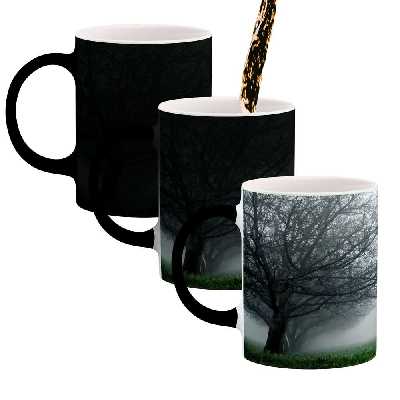 ماگ حرارتی کاکتی طرح منظره مدل mgh15572