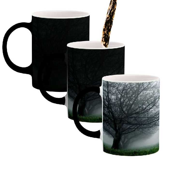 ماگ حرارتی کاکتی طرح منظره مدل mgh15572