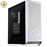 کیس سیلوراستون Primera Series SST-PM02W-G