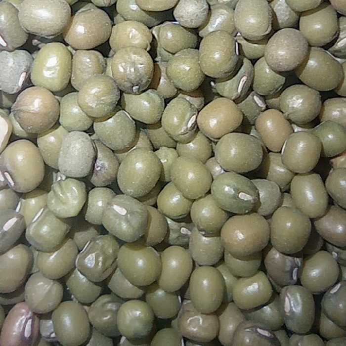 ماش سبز بسته بندی 2 کیلوگرمی شالیزارصادق 