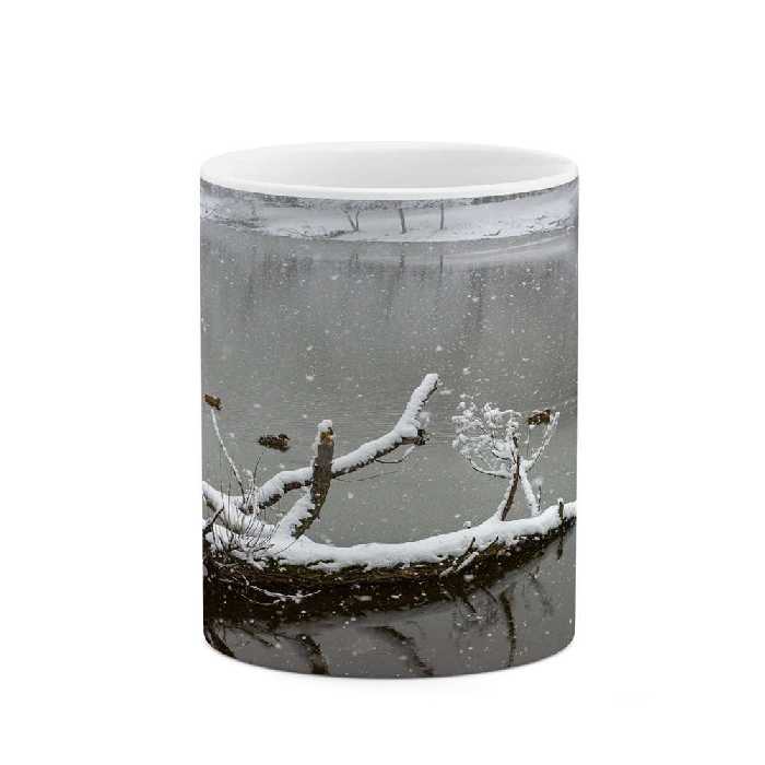 ماگ کاکتی طرح منظره برفی مدل mgs14847