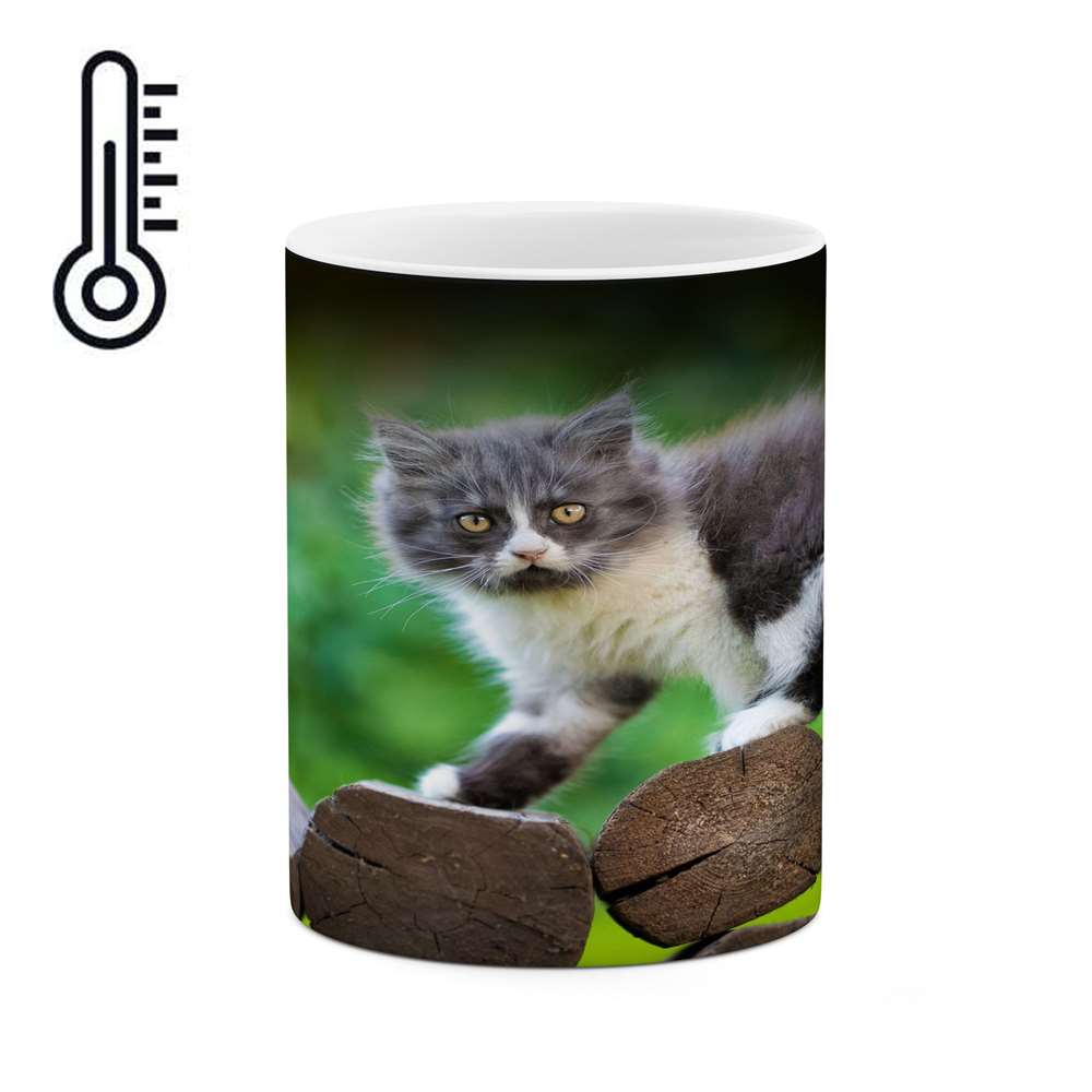 ماگ حرارتی کاکتی طرح گربه مدل mgh14423