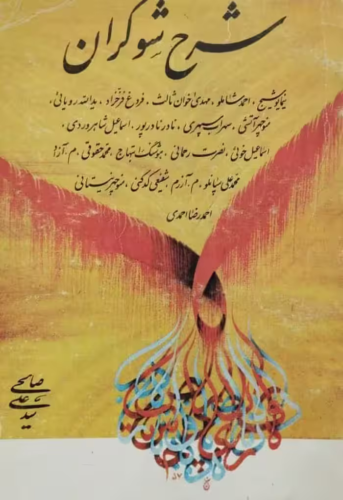 شرح شوکران | سیدعلی صالحی