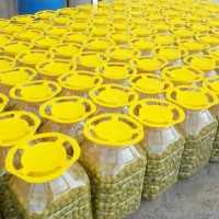 زیتون  باهسته 