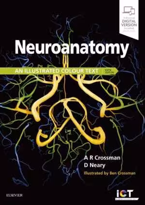 [PDF] دانلود کتاب Neuroanatomy - An Illustrated Colour Text, 6th ed, 2019