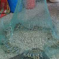 تور پرتابی 24 متری چشم 2 انگشت با 2 کیلو سرب