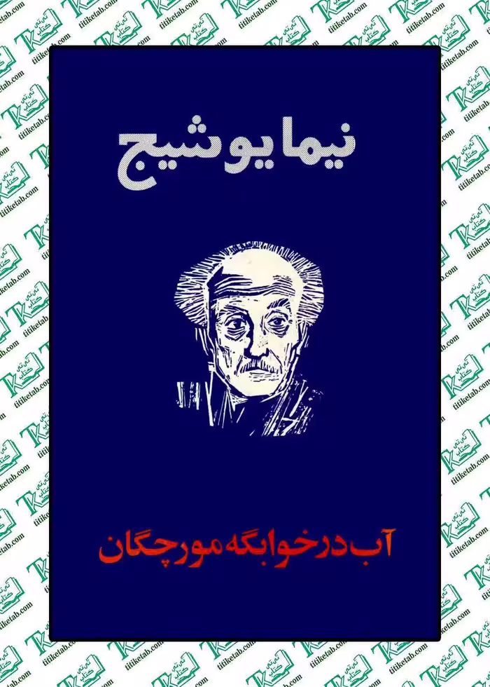 آب در خوابگه مورچگان نوشته نیما یوشیج نشر امیر کبیر