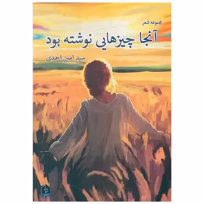 کتاب آنجا چیزهایی نوشته بود اثر امین احمدی