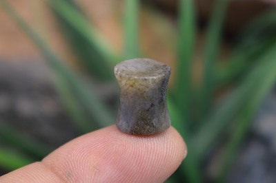 لابرادوریت