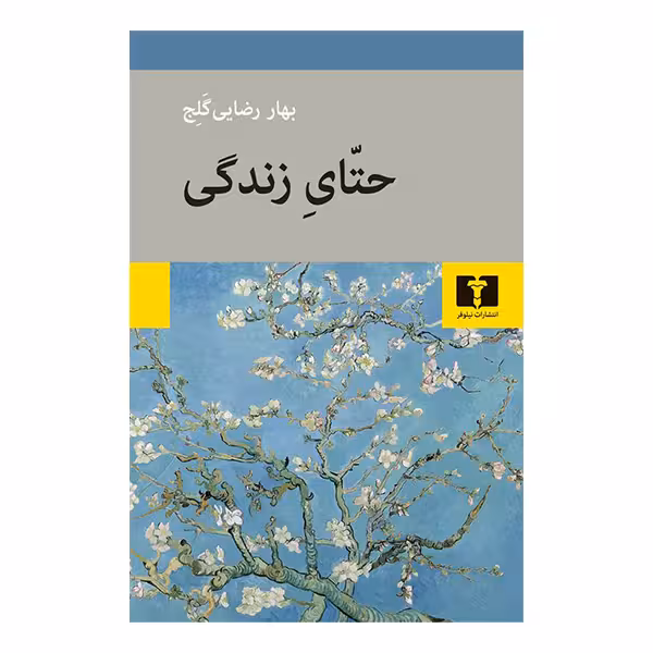 کتاب حتای زندگی اثر بهار رضایی گلج انتشارات نیلوفر