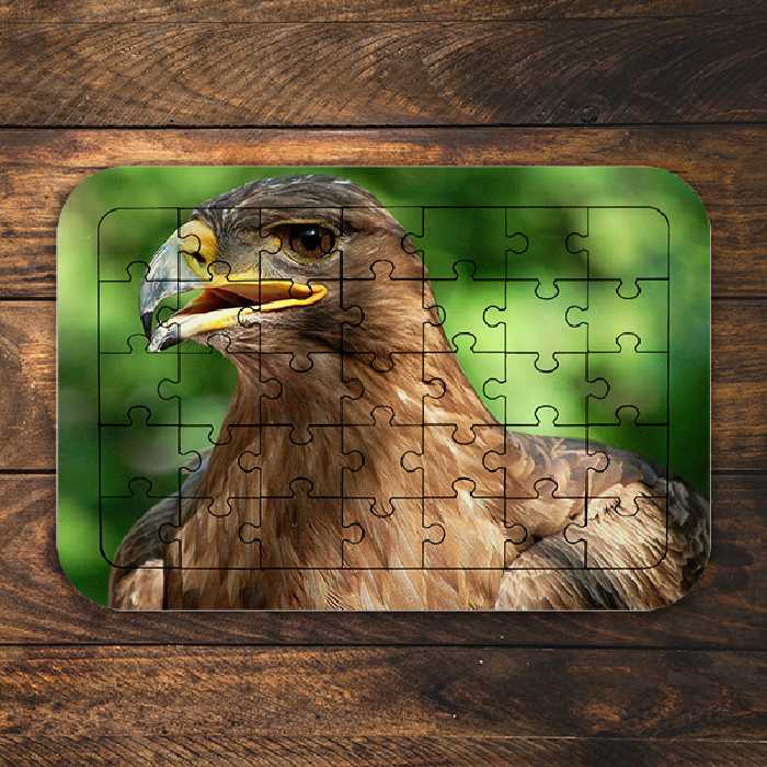 پازل 35 تکه طرح عقاب طلایی مدل NI2067