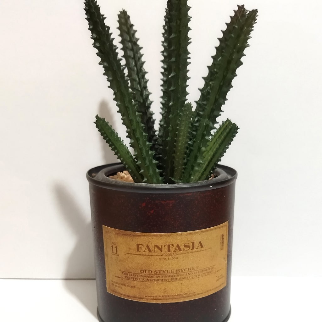 گلدان قوطی فلزی کاکتوس کد 55204