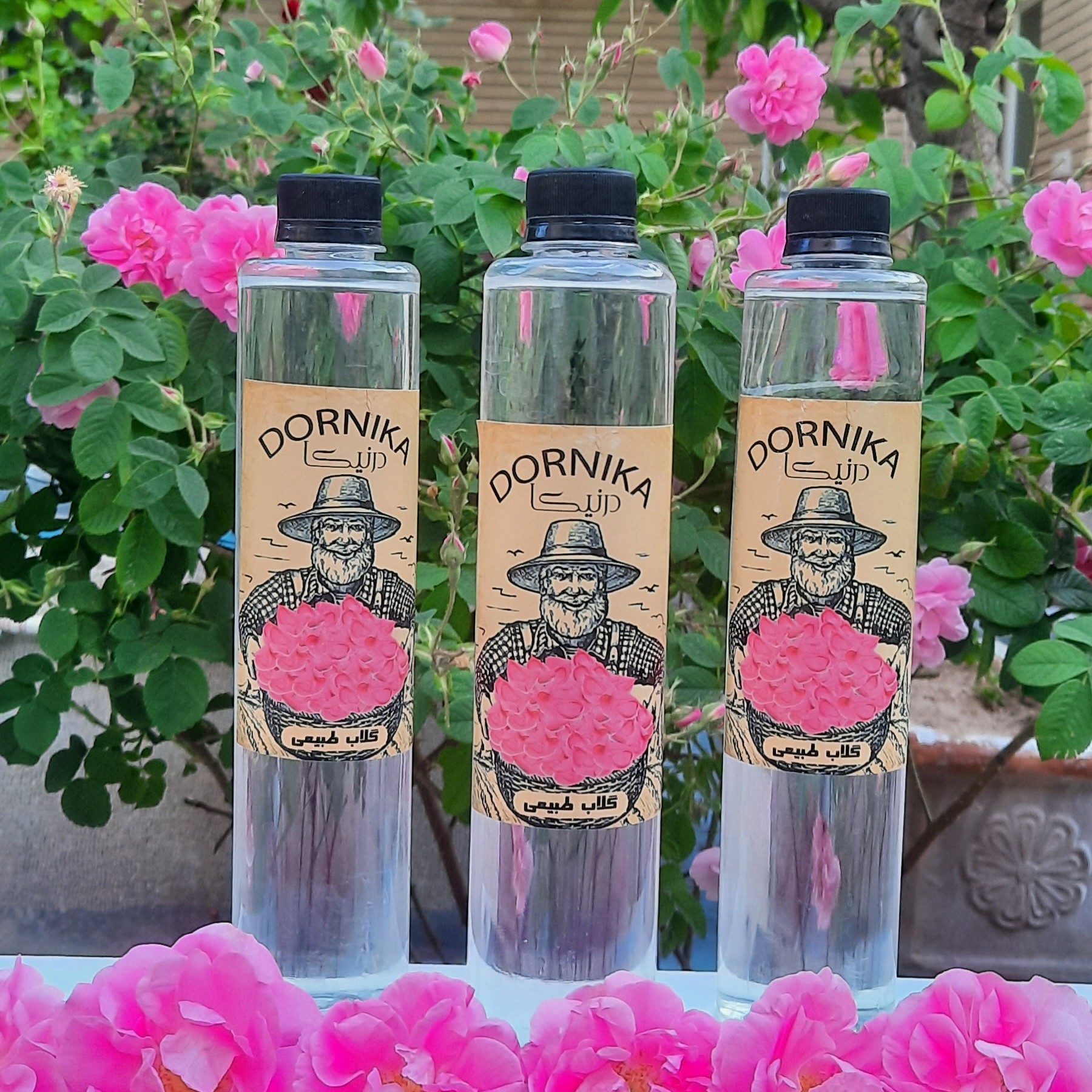 گلاب ناب و خالص وخوش عطر 