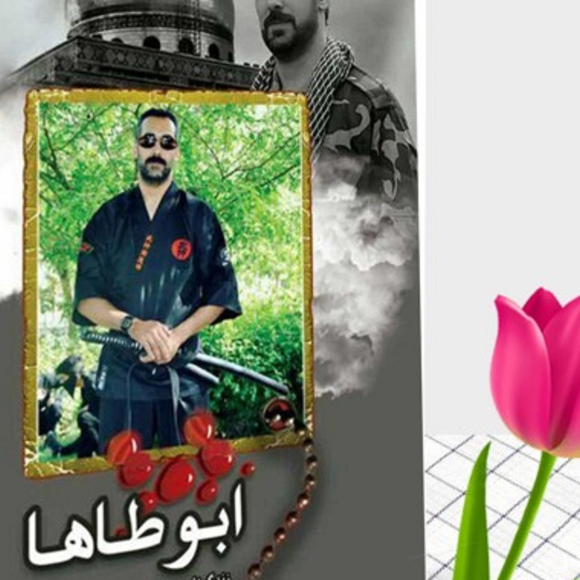 کتاب ابو طاها (خاطرات مدافع حرم شهید صانعی موفق )