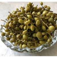 ترشی بنه پسته کوهی با طبعی گرم مناسب فصل پاییز همراه با ادویه جات معطر