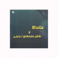 کتاب ماندالا و نقش مایه های تزئینی اثر آزاده صادقی انتشارات پشوتن جلد 8