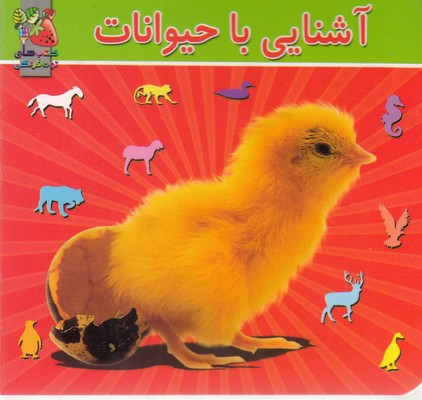 آشنایی با حیوانات