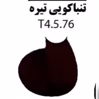 رنگ مو ارکیا کد T4تنباکویی تیره(جین 19تایی)به قیمت عمده