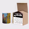 ماگ کاکتی طرح شهر مدل mgs15221
