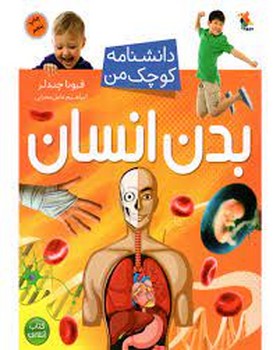 بدن انسان/دانشنامه کوچک من | مرکز فرهنگی آبی