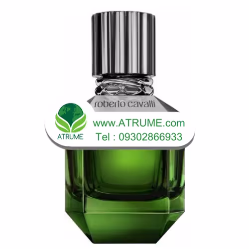 عطر ادکلن روبرتو کاوالی پاردایس فاوند (فوند) مردانه 75 میل مردانه