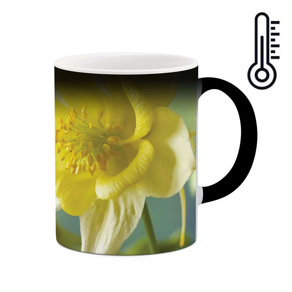 ماگ حرارتی طرح گل مدل mgh02745