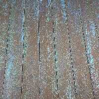 بک دراپ Backdrop کد 0122