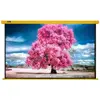 پرده نمایش برقی سلکسون مدل CS250AG سایز 250x250 سانتی‌متر