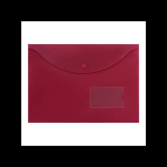 پوشه دکمه دار مات و شفاف آ4پاپکو 116BMوBT بسته 108عددی