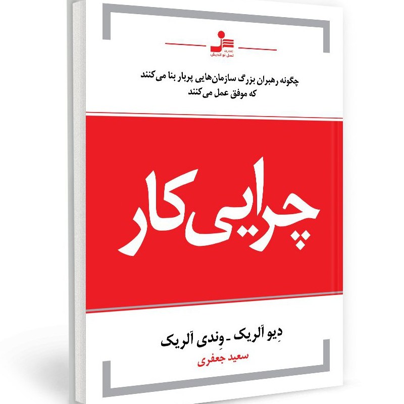 کتاب چرایی کار دیو آلریک و وندی آلریک مترجم سعید جعفری انتشارات نسل نواندیش