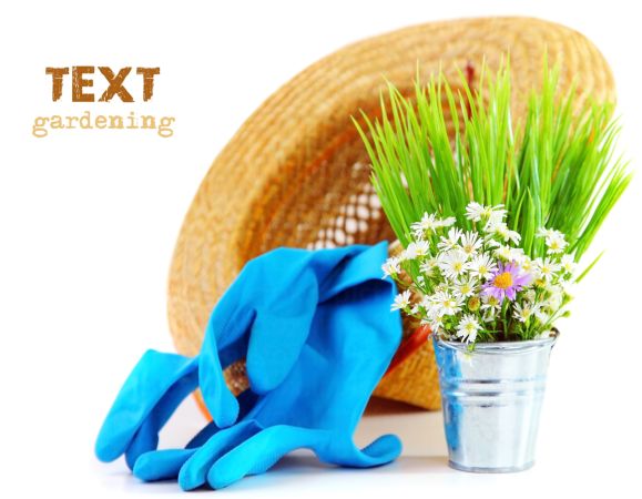 خرید و دانلود عکس Farming-Part-1 کد 15835 | پیک فاکس | Pic Fox