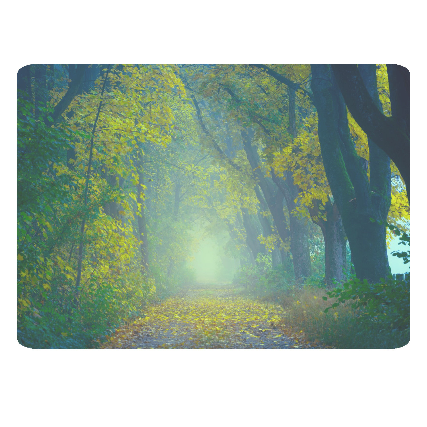 ماوس پد مدل منظره کد 416 BBB