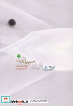 قیمت و خرید کتاب برف ها از دل ها سپیدترند | ایده بوک