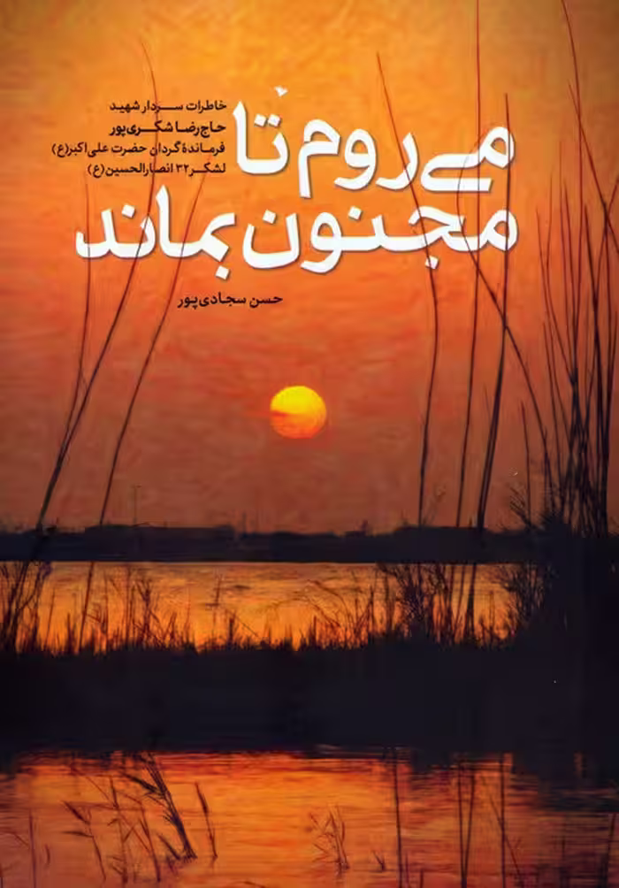 می روم تا مجنون بماند - ناشربوک | خرید آنلاین کتاب