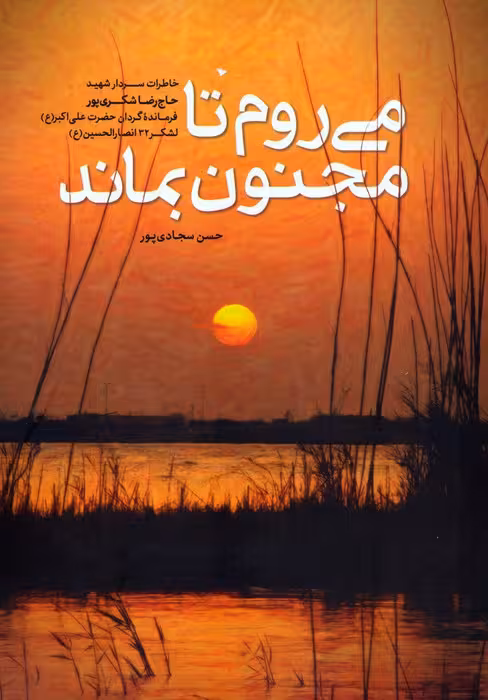 می روم تا مجنون بماند - ناشربوک | خرید آنلاین کتاب