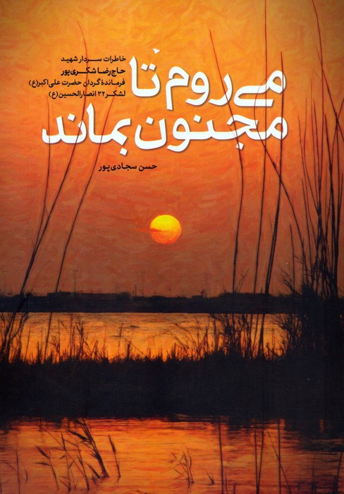 می روم تا مجنون بماند - ناشربوک | خرید آنلاین کتاب