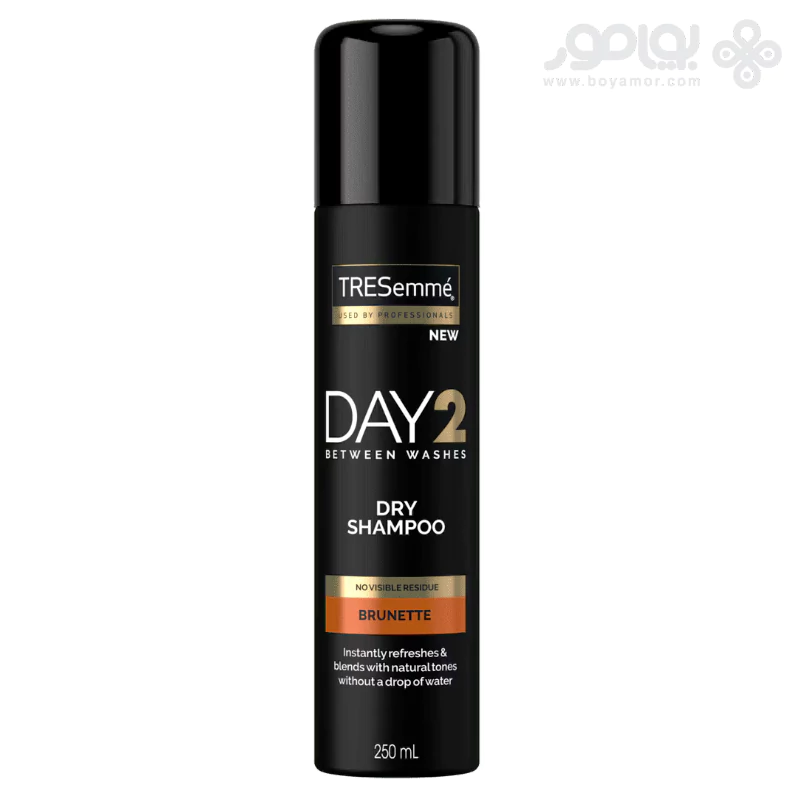 شامپو خشک ترزمه مدل DAY 2 رنگ قهوه ای حجم 250 میل