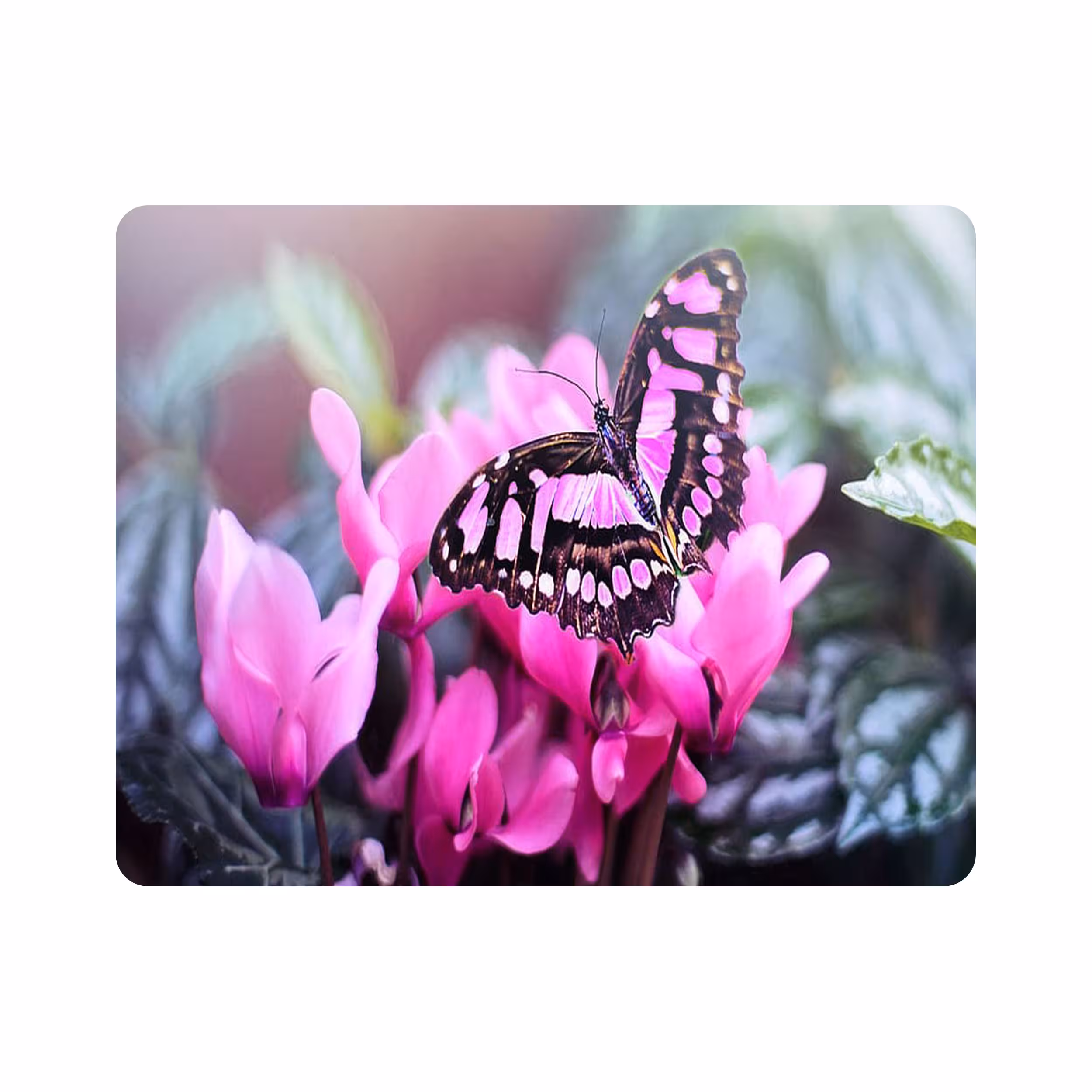 ماوس پد طرح پروانه و گل مدل T8092