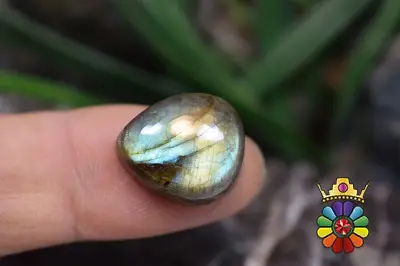 لابرادوریت