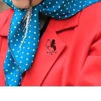 مینی اسکارف باندانا مچ بندتزیینی بند کیف دستمال سر و گردن