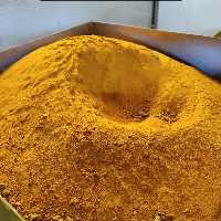 زردچوبه چارمینار درجه یک بسته 200 گرمی 