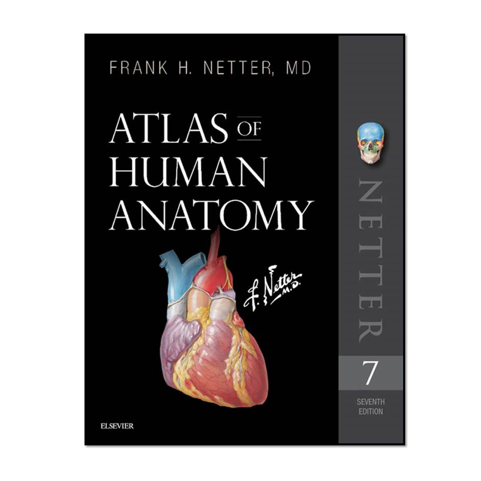 کتاب ATLAS OF HUMAN ANATOMY اثر Frank H Netter MD انتشارات مؤلفین طلایی