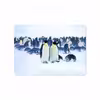 برچسب پوششی ماهوت مدل Penguin مناسب برای تبلت اپل iPad Air 2 2014 A1567