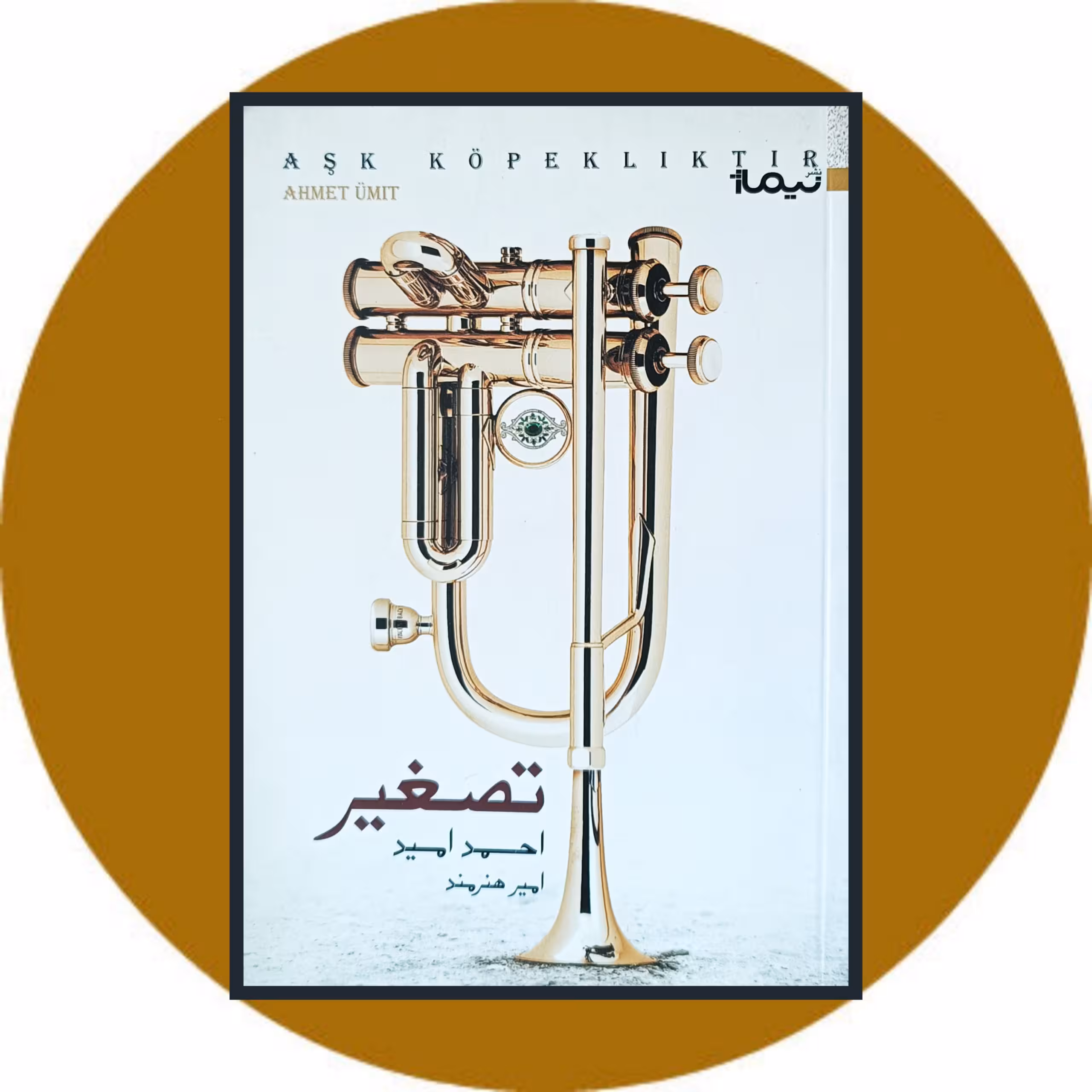 کتاب تصغیر- خرید با تخفیف چهل درصد از کتاب دایره قهوه ای