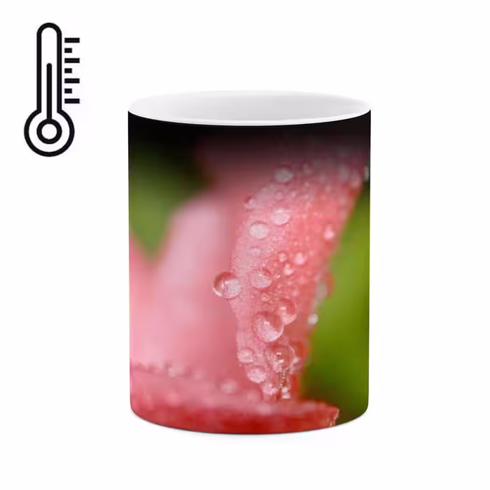 ماگ حرارتی طرح شبنم مدل mgh12066