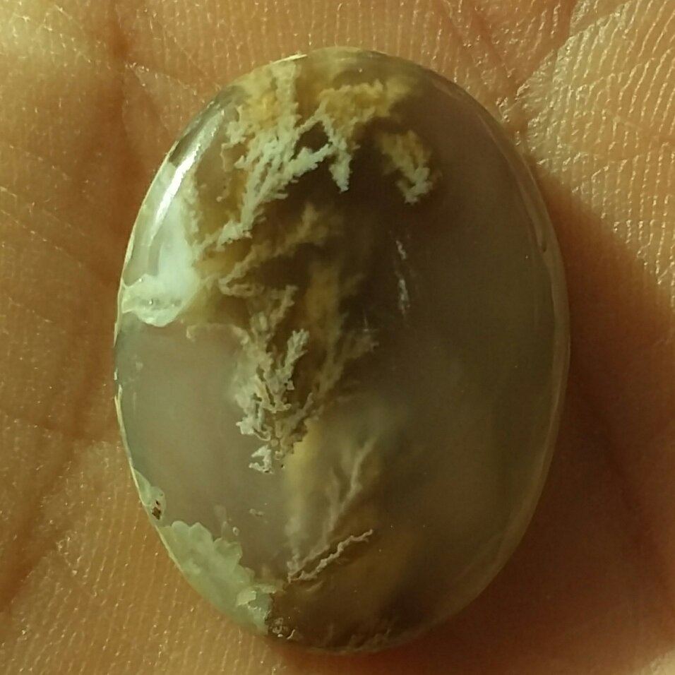 نگین شجر واضح زمینه خرمایی بی نظیییر 100درصد طبیعی